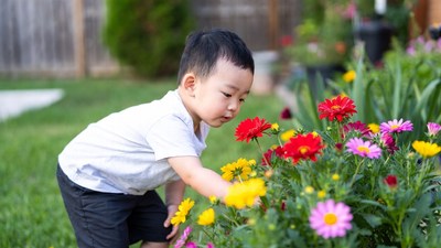 Boy smelling colorful flowers in garden