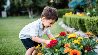 Boy smelling colorful flowers in garden