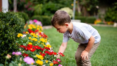 Boy examining colorful garden flowers