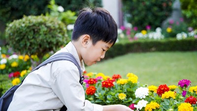 Asian boy examining colorful flowers