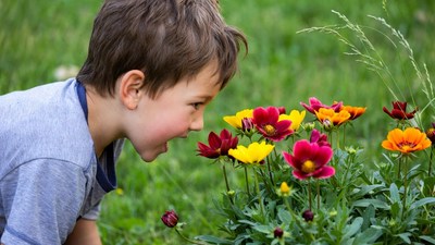 Boy smelling colorful flowers