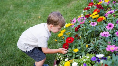 Boy smelling colorful flowers