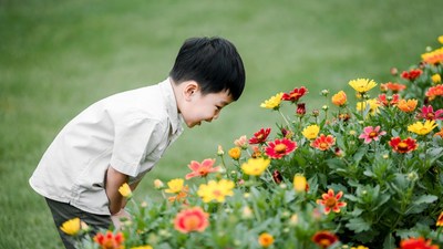 Boy smelling colorful flowers