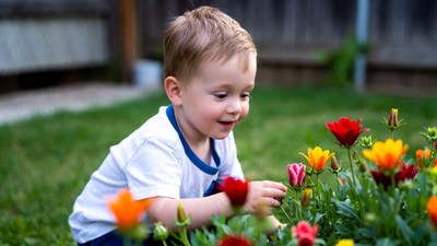 Boy picking colorful flowers in garden