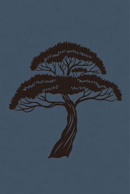 Silhouette of bonsai tree