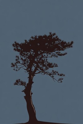 Silhouette of pine tree