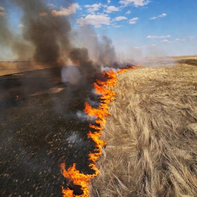 Grass Fire Burning Dry Field