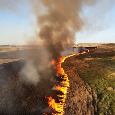 Grassland fire burning along field edge