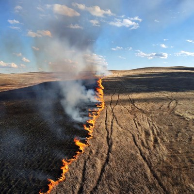Grassland Fire Line Aerial View