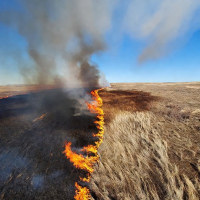 Grassland wildfire burning through field