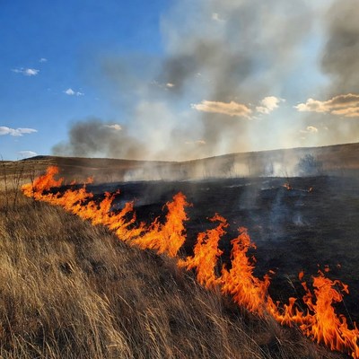 Grassland wildfire burning under blue sky