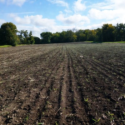 Freshly plowed field under blue sky