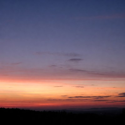 Vibrant Sunset Over Forest Silhouette