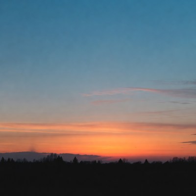 Sunset over dark pine forest silhouette