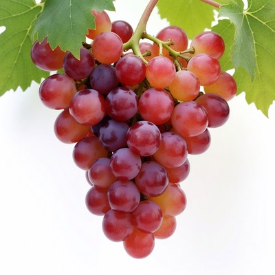 Red Grapes Cluster with Leaves