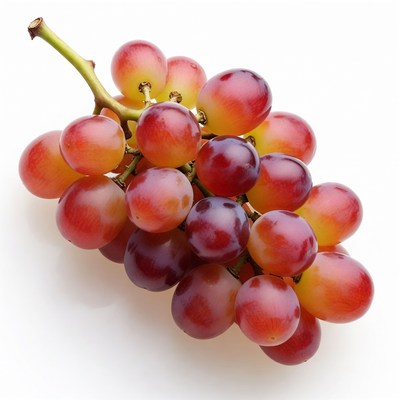 Fresh red grapes bunch