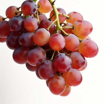 Fresh red grapes bunch