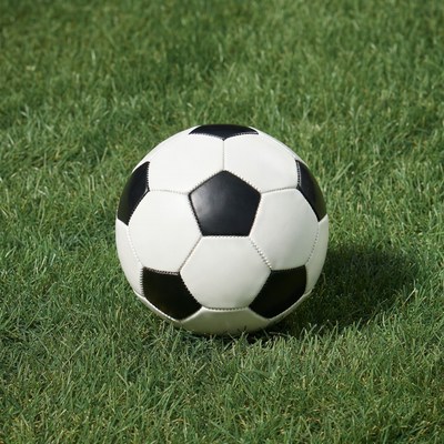 Soccer Ball on Grass