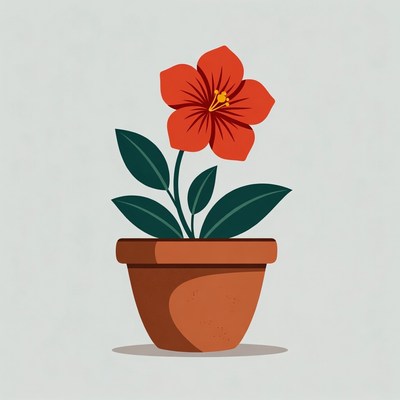 Red Flower in Terracotta Pot