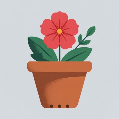 Red Flower in Terracotta Pot