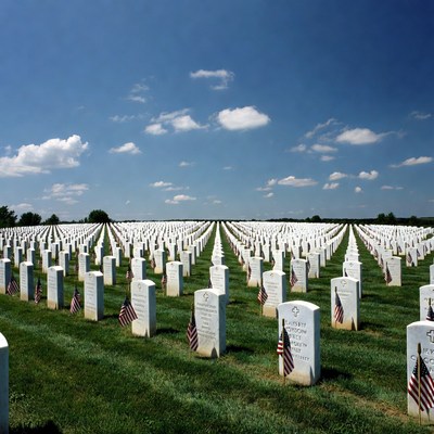 American Military Cemetery with Flags
