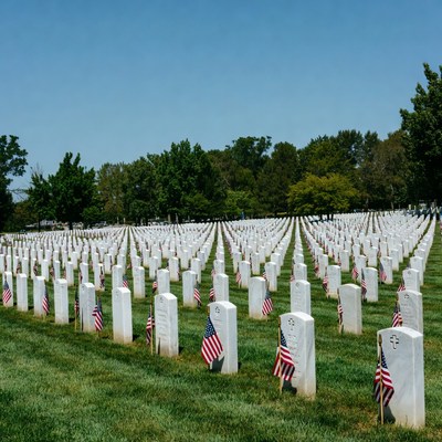 American Flags on Military Cemetery Graves