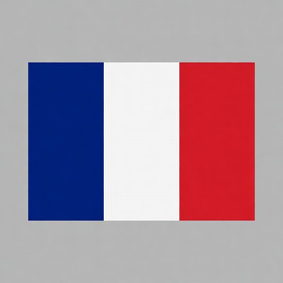 French Flag on Gray Background