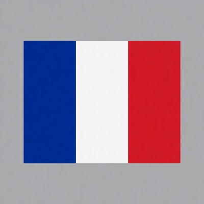 French Flag on Gray Background