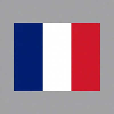French Flag on Gray Background