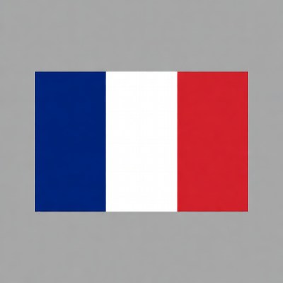 French Flag on Gray Background
