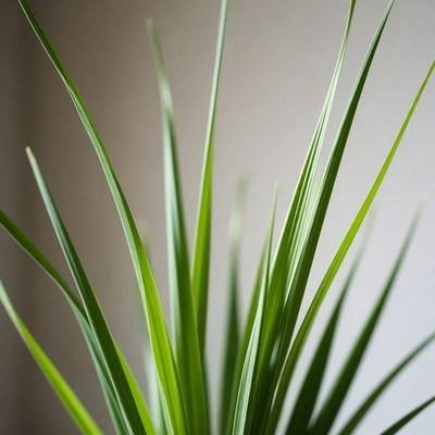 Green grass blades on beige background