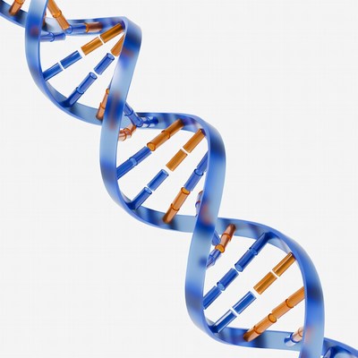 DNA Double Helix Structure
