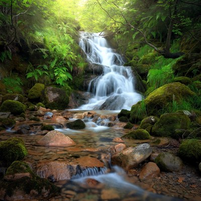 Waterfall cascading in lush green forest