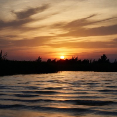 Sunset over lake with reeds