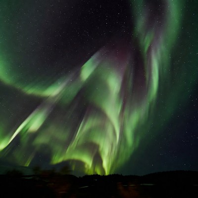 Vibrant Northern Lights over Forest