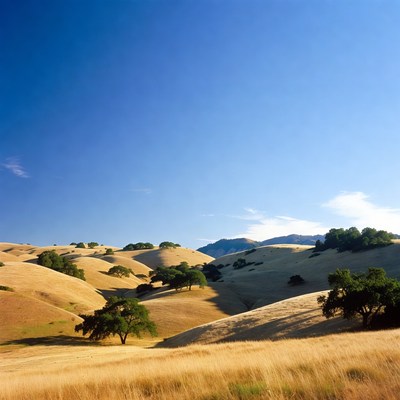 Golden Rolling Hills Landscape