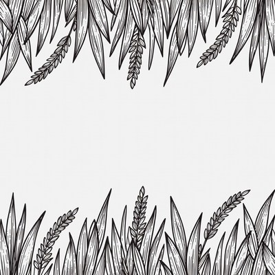 Wheat Stalks Illustration Border