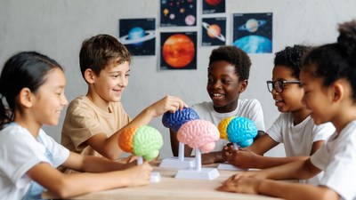 Diverse children examining brain models