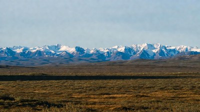 Snowy Mountains Over Vast Grassland