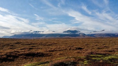 Snowy Mountains Over Golden Grassland