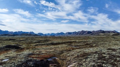 Snow-capped mountains in tundra landscape