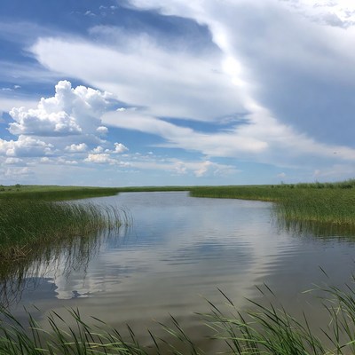 Calm Marsh Lake with Reeds and Sky