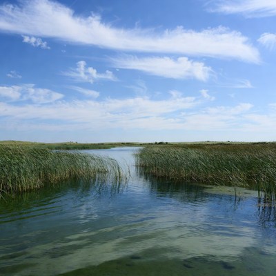 Marsh with Calm Water Channel