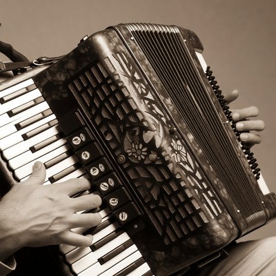Man playing accordion closeup