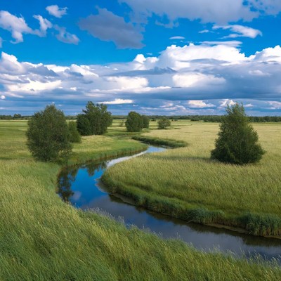 Winding River in Green Meadow