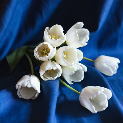 White tulips on blue fabric