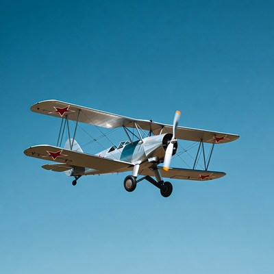 Polikarpov I-16 Fighter Plane Flying
