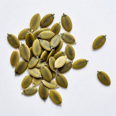 Pile of pumpkin seeds