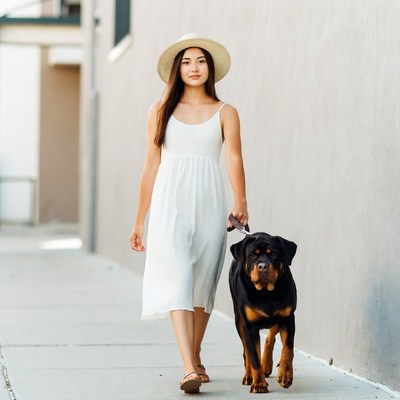 Asian woman walking Rottweiler dog