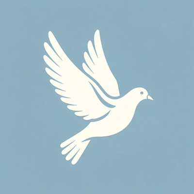 White Dove Flying on Blue Background